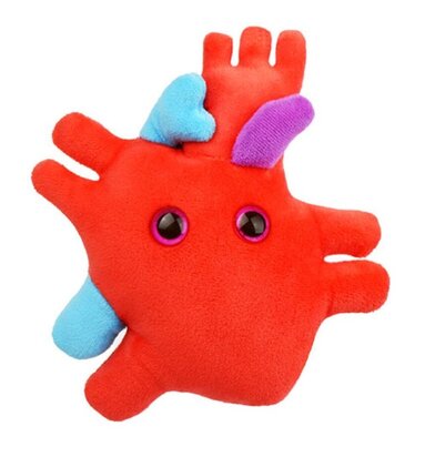 Giant Microbes Human Heart Organ