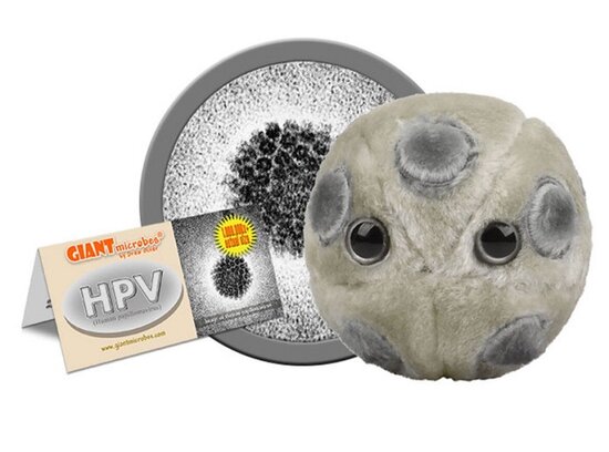Giant Microbes HPV (Humaan Papillomavirus)