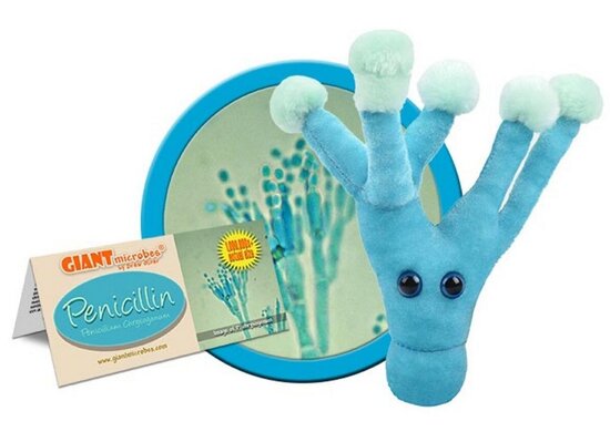 Giant Microbes Penicilline pluche