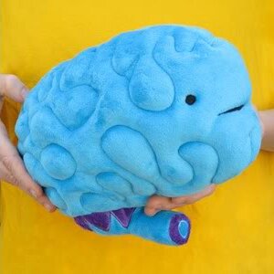 I Heart Guts - Grote Hersenen (Big Brain) plush