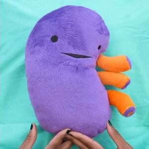 I Heart Guts - Kolossale Nier (Colossal Kidney) plush