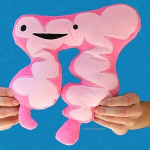 I Heart Guts - Dikke darm (Colon) plush