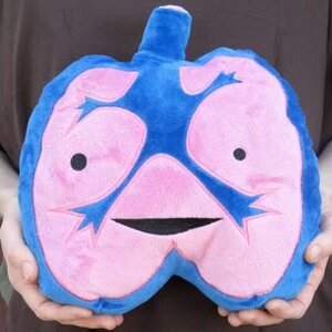 I Heart Guts - Luidruchtige Longen (Loud Lungs) plush