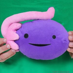 I Heart Guts - Extra grote Eierstok (Oversized Ovary) plush