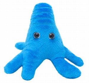 Giant Microbes Amoeba blue (Amoeba Proteus)