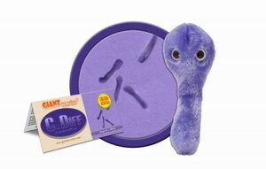 Giant Microbes Clostridium Difficile