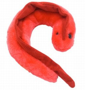 Giant Microbes Chagas (Trypanozoma Cruzi)