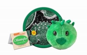 Giant Microbes Chlamydia