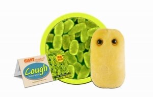 Giant Microbes Cough (Whooping cough)