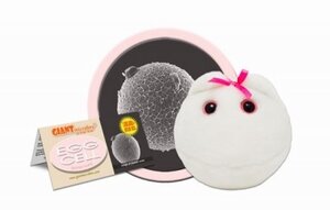 Giant Microbes Egg cell