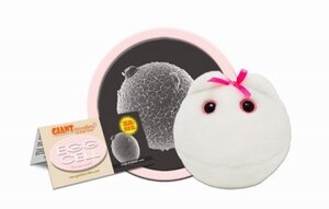 Giant Microbes Egg cell (ei cel)