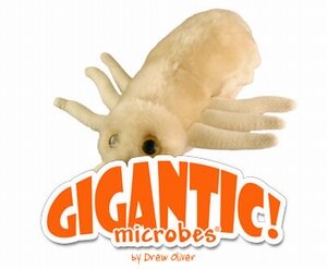 Gigantic Microbes Louse (Pediculus capitis)