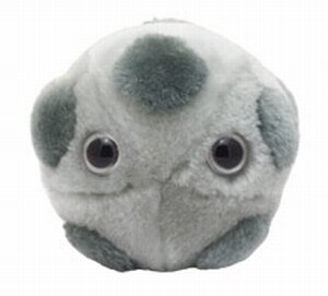 Giant Microbes HPV (Humaan Papillomavirus)
