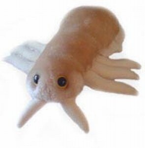 Giant Microbes Louse (hoofdluis)