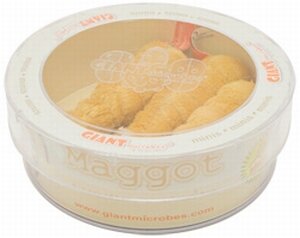 Giant Microbes Petri dish Maggot