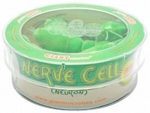 Giant Microbes Petri dish Nerve cell (neuron)