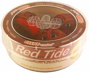 Giant Microbes Petri schaal Red tide (Rode vloed alg)