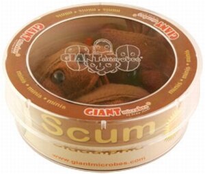 Giant Microbes Petri schaal Scum (Biddulphia)