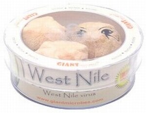 Giant Microbes Petri dish West Nile virus