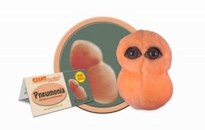 Giant Microbes Pneumonia