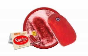 Giant Microbes Rabies (hondsdolheid)