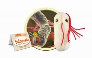 Giant Microbes Salmonella