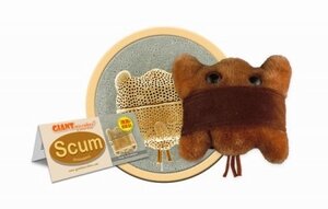 Giant Microbes Scum (biddulphia alg)