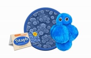 Giant Microbes Staph (Staphylococcus aureus)