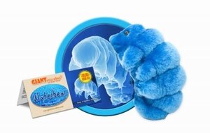 Giant Microbes Waterbear (Hypsibius dujardini)