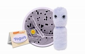 Giant Microbes plush Yogurt bacteria (Lactobacillus Bulgaris)