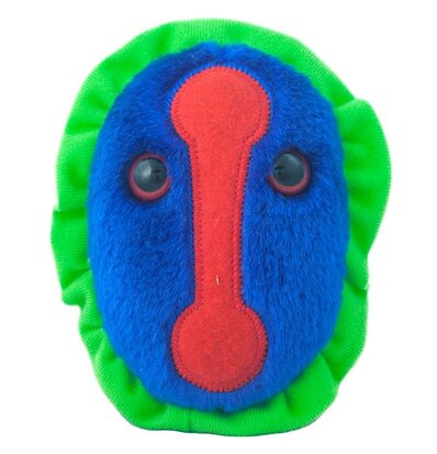 Giant Microbes Smallpox