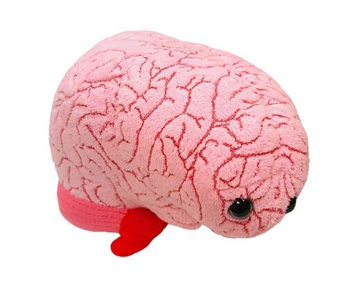 Giant Microbes Brain Organ