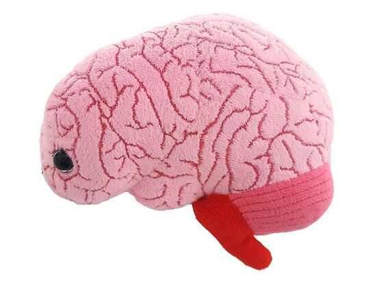 Giant Microbes Brain Organ