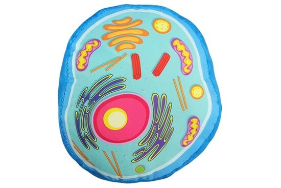 Giant Microbes pluche Animal Cell (dierlijke cel)