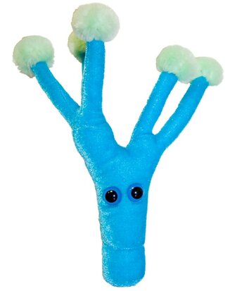 Giant Microbes Penicilline