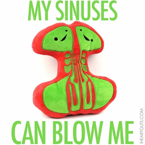 I Heart Guts Organ - Science Biology Plush Sinuses