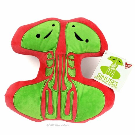 I Heart Guts Organ - Science Biology Plush Sinuses