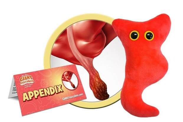 Giant Microbes Orgaan - Wetenschap biologie blindedarm