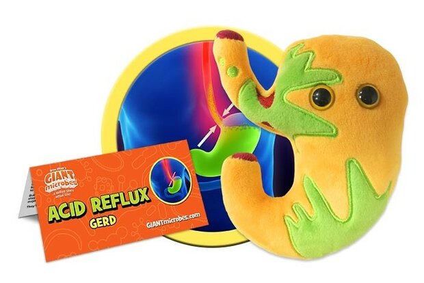 Giant Microbes Orgaan - Wetenschap biologie reflux