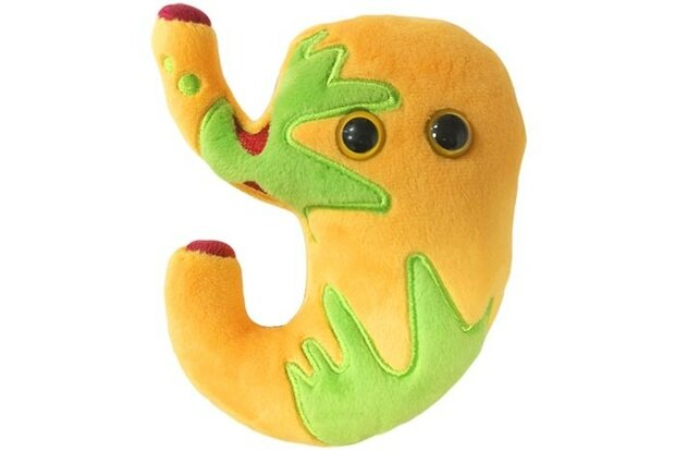 Giant Microbes Orgaan - Wetenschap biologie reflux