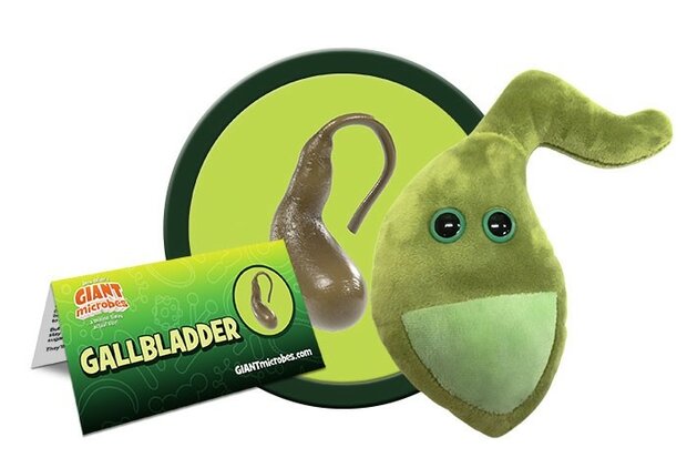 Giant Microbes Orgaan - Wetenschap biologie galblaas