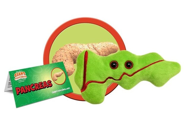 Giant Microbes Orgaan - Wetenschap biologie alvleesklier