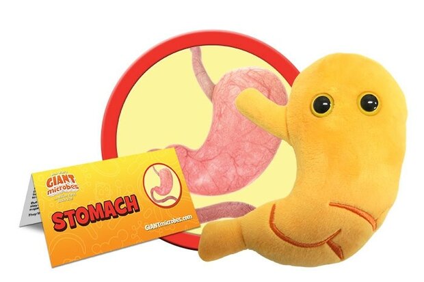 Giant Microbes Orgaan - Wetenschap biologie maag