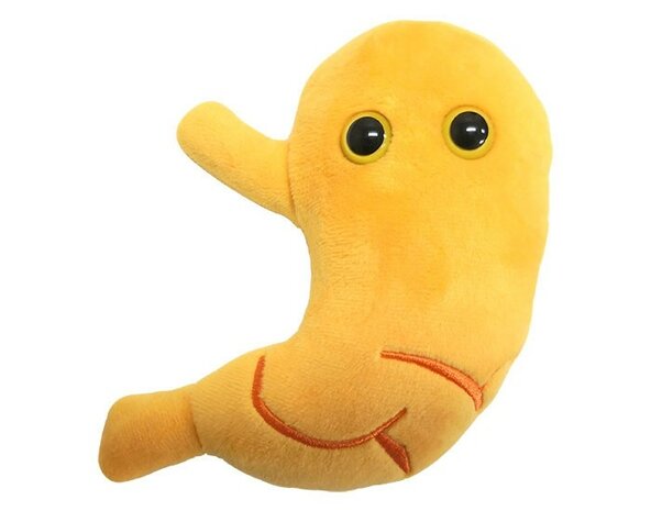 Giant Microbes Orgaan - Wetenschap biologie maag