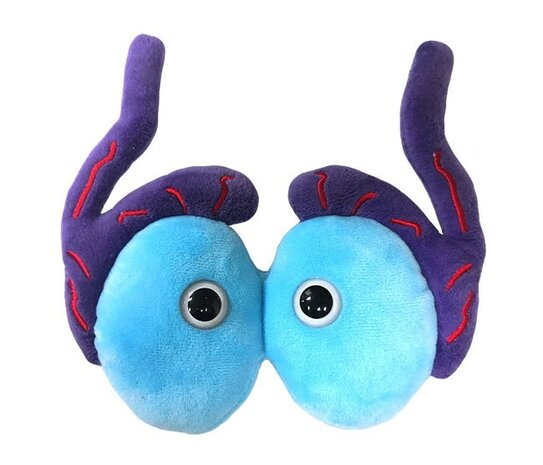 Giant Microbes Organ - Science Biology Plush Testicles