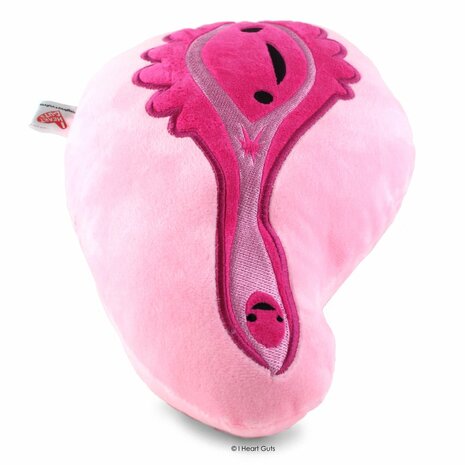 I Heart Guts Plush - Science Biology Vagina - Vulva