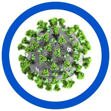 Giant Microbes Plush - Science Biology SARS