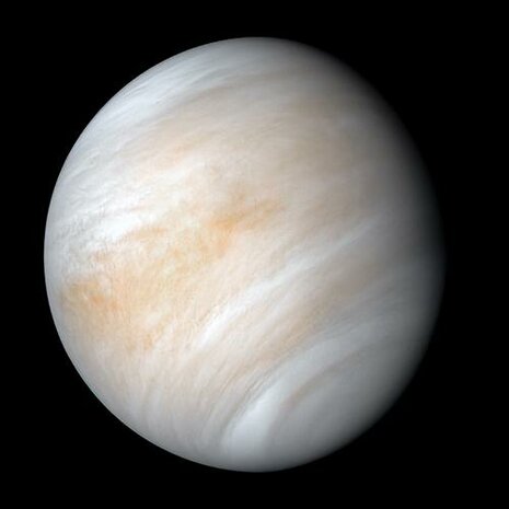 Celestial Buddies Plush - Science Astronomy Cosmic Buddy Venus
