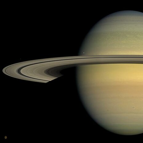Celestial Buddies Plush - Science Astronomy Cosmic Buddy Saturn