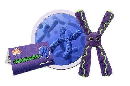 Giant Microbes Plush - Science Biology Cell Chromosome